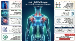 اینفوگرافی پزشکی قوزبند ایتال فیت