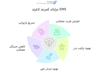 تاثیر کمربند لاغری ای ام اس اینفوگرافی